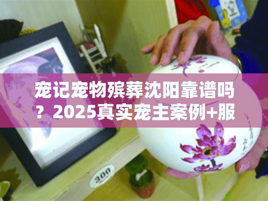 宠记宠物殡葬沈阳靠谱吗？2025真实宠主案例+服务细节全揭秘