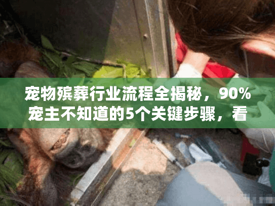 宠物殡葬行业流程全揭秘，90%宠主不知道的5个关键步骤，看完少踩坑！