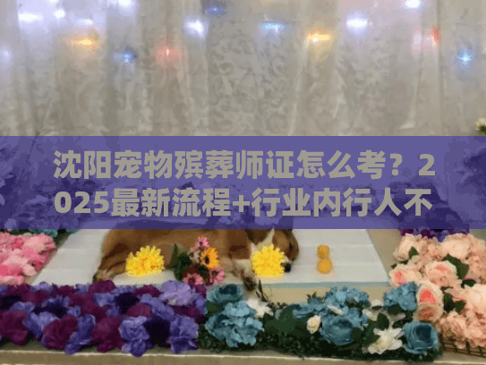 沈阳宠物殡葬师证怎么考？2025最新流程+行业内行人不轻易说的3个关键