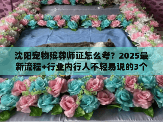 沈阳宠物殡葬师证怎么考？2025最新流程+行业内行人不轻易说的3个关键