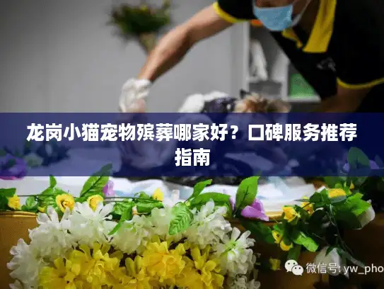 龙岗小猫宠物殡葬哪家好?口碑服务推荐指南 龙岗小猫宠物殡葬哪家好?口碑服务推荐指南
