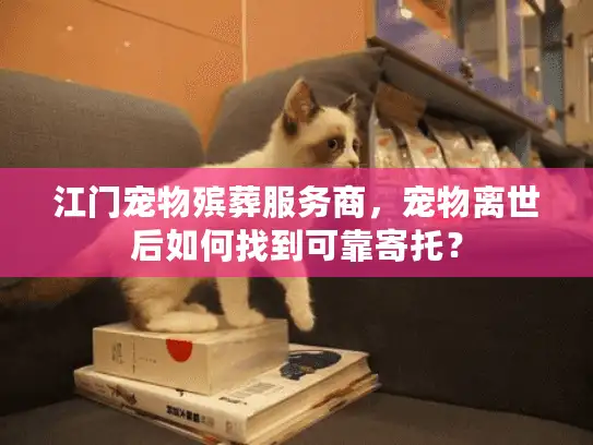 江门宠物殡葬服务商，宠物离世后如何找到可靠寄托？