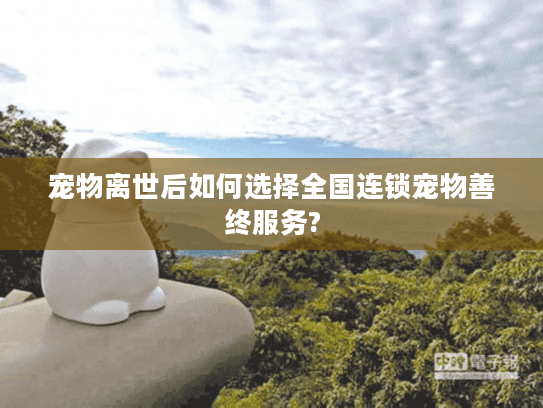 宠物离世后如何选择全国连锁宠物善终服务?