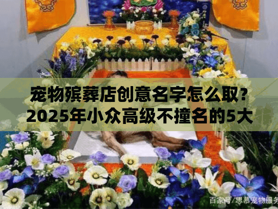 宠物殡葬店创意名字怎么取？2025年小众高级不撞名的5大灵感方向+实战案例