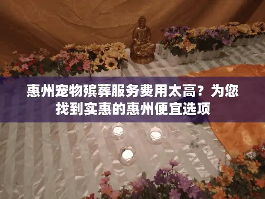惠州宠物殡葬服务费用太高？为您找到实惠的惠州便宜选项