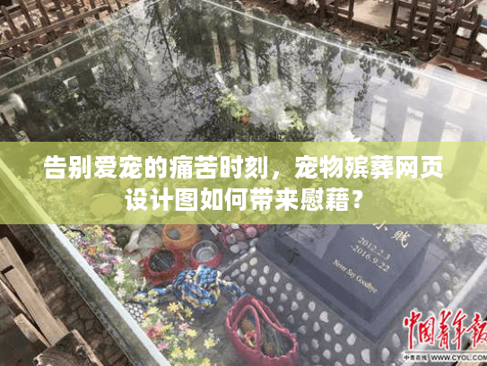 告别爱宠的痛苦时刻，宠物殡葬网页设计图如何带来慰藉？