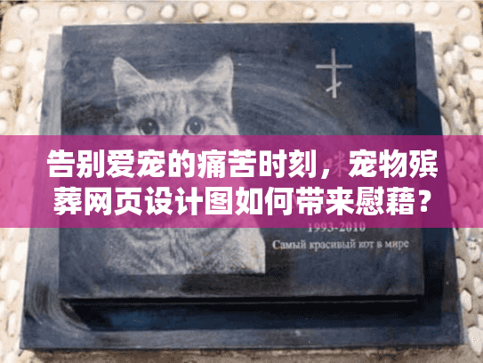 告别爱宠的痛苦时刻，宠物殡葬网页设计图如何带来慰藉？