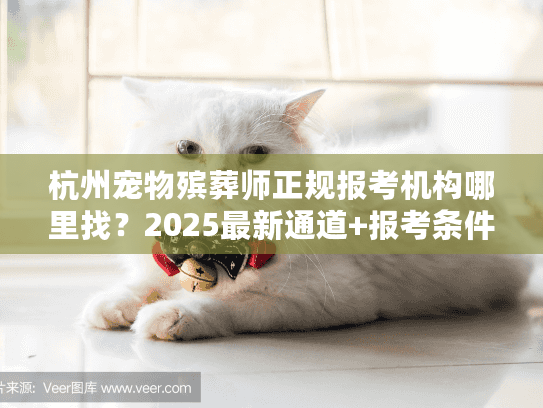 杭州宠物殡葬师正规报考机构哪里找？2025最新通道+报考条件全揭秘