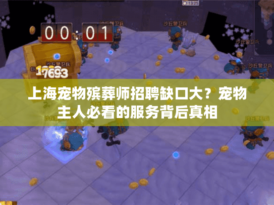 上海宠物殡葬师招聘缺口大？宠物主人必看的服务背后真相