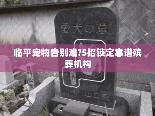 临平宠物告别难?5招锁定靠谱殡葬机构