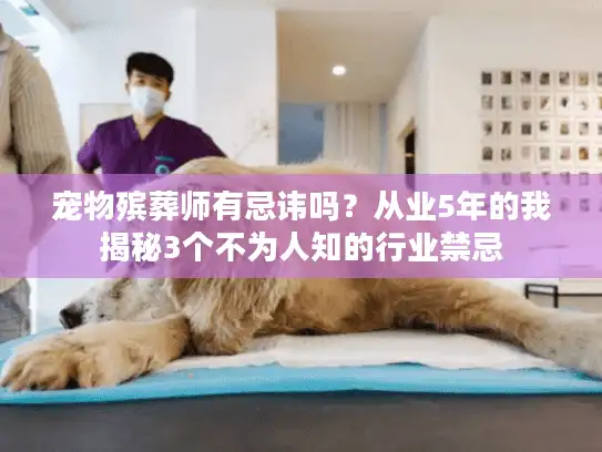 宠物殡葬师有忌讳吗？从业5年的我揭秘3个不为人知的行业禁忌