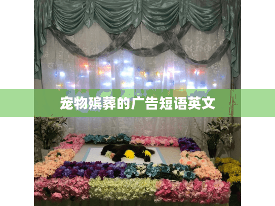 宠物殡葬的广告短语英文