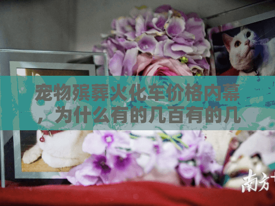宠物殡葬火化车价格内幕,为什么有的几百有的几千?3个真实故事给你答案 宠物殡葬火化车价格内幕,为什么有的几百有的几千?3个真实故事给你答案