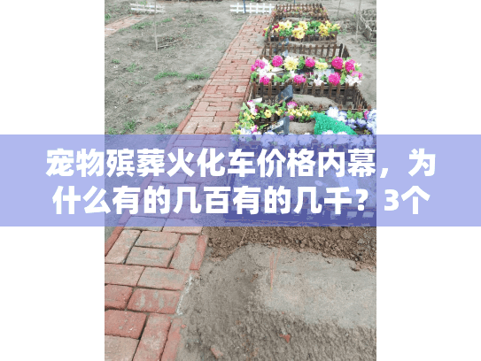 宠物殡葬火化车价格内幕,为什么有的几百有的几千?3个真实故事给你答案 宠物殡葬火化车价格内幕,为什么有的几百有的几千?3个真实故事给你答案