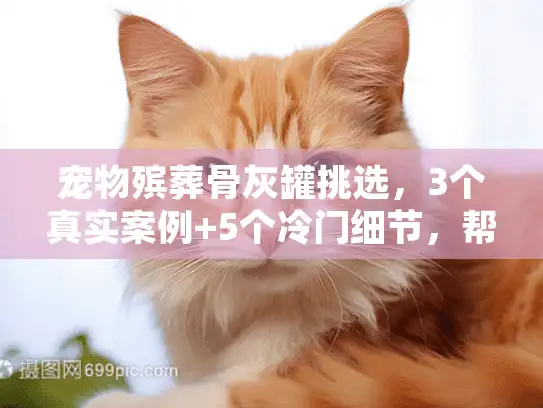 宠物殡葬骨灰罐挑选，3个真实案例+5个冷门细节，帮你给毛孩子选对永恒小窝