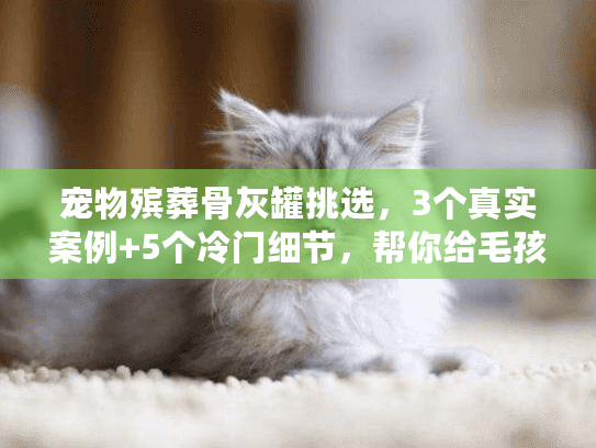 宠物殡葬骨灰罐挑选，3个真实案例+5个冷门细节，帮你给毛孩子选对永恒小窝