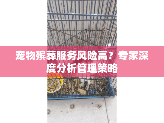 宠物殡葬服务风险高?专家深度分析管理策略 宠物殡葬服务风险高?专家深度分析管理策略