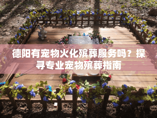 德阳有宠物火化殡葬服务吗?探寻专业宠物殡葬指南 德阳有宠物火化殡葬服务吗?探寻专业宠物殡葬指南