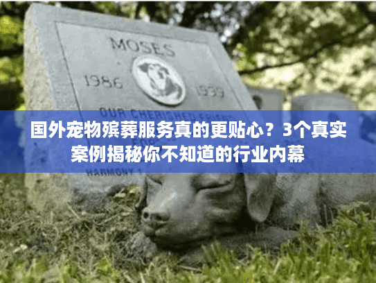 国外宠物殡葬服务真的更贴心？3个真实案例揭秘你不知道的行业内幕