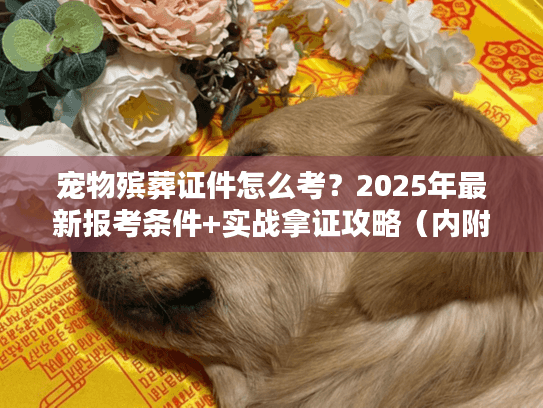 宠物殡葬证件怎么考？2025年最新报考条件+实战拿证攻略（内附稀缺资料）