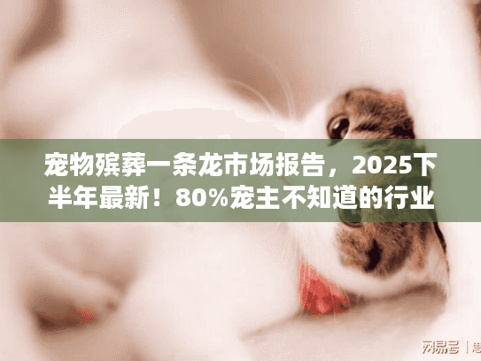 宠物殡葬一条龙市场报告，2025下半年最新！80%宠主不知道的行业内幕？