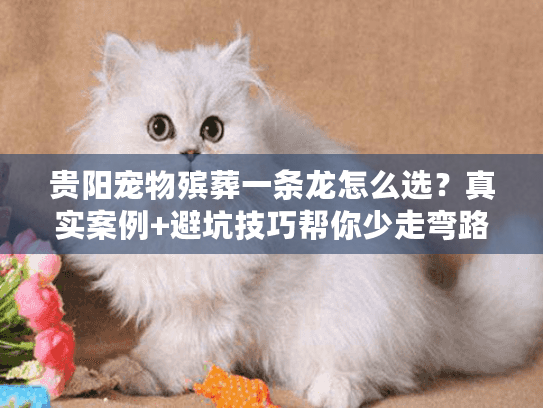 贵阳宠物殡葬一条龙怎么选？真实案例+避坑技巧帮你少走弯路