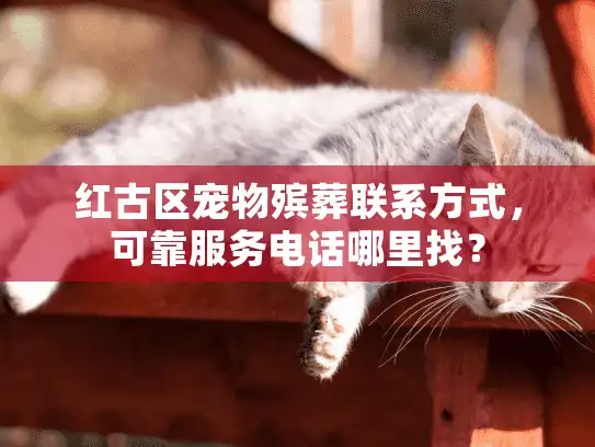 红古区宠物殡葬联系方式，可靠服务电话哪里找？