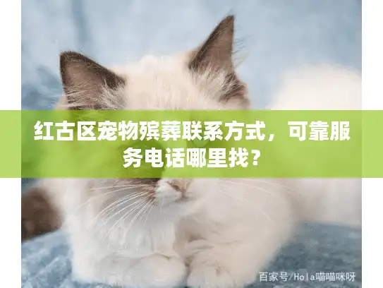 红古区宠物殡葬联系方式，可靠服务电话哪里找？