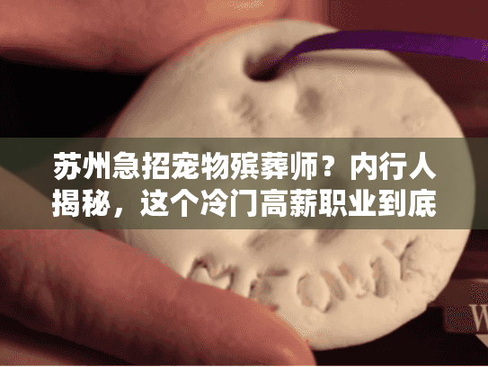 苏州急招宠物殡葬师?内行人揭秘,这个冷门高薪职业到底值不值得做? 苏州急招宠物殡葬师?内行人揭秘,这个冷门高薪职业到底值不值得做?