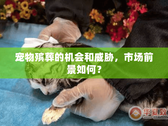 宠物殡葬的机会和威胁，市场前景如何？