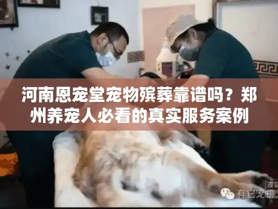 河南恩宠堂宠物殡葬靠谱吗？郑州养宠人必看的真实服务案例与费用揭秘