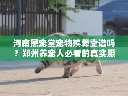 河南恩宠堂宠物殡葬靠谱吗？郑州养宠人必看的真实服务案例与费用揭秘