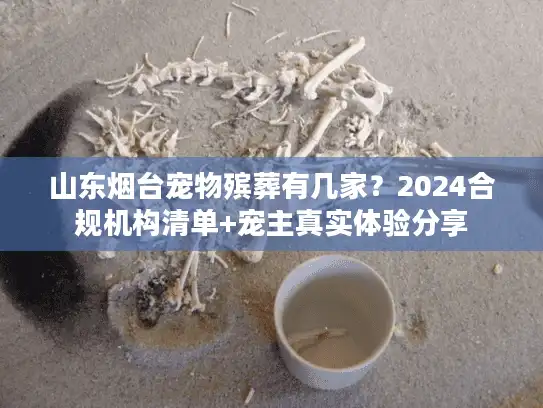 山东烟台宠物殡葬有几家?2024合规机构清单+宠主真实体验分享 山东烟台宠物殡葬有几家?2024合规机构清单+宠主真实体验分享