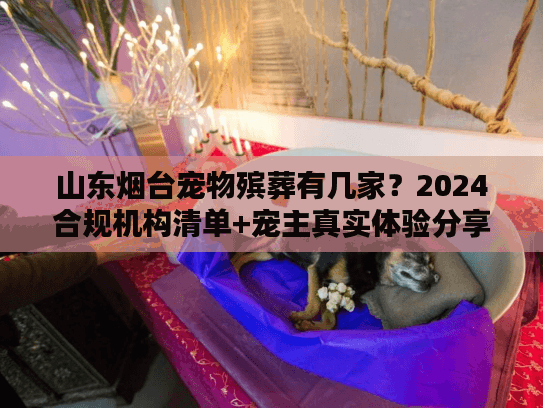 山东烟台宠物殡葬有几家?2024合规机构清单+宠主真实体验分享 山东烟台宠物殡葬有几家?2024合规机构清单+宠主真实体验分享