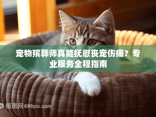 宠物殡葬师真能抚慰丧宠伤痛？专业服务全程指南