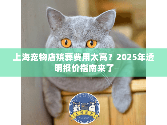 上海宠物店殡葬费用太高？2025年透明报价指南来了