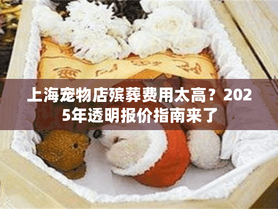 上海宠物店殡葬费用太高？2025年透明报价指南来了