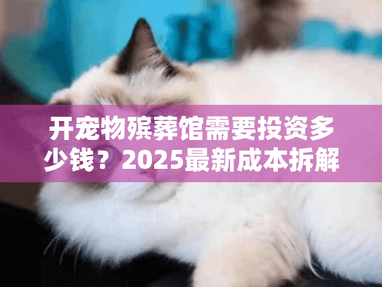 开宠物殡葬馆需要投资多少钱?2025最新成本拆解(含设备/场地/资质真实案例) 开宠物殡葬馆需要投资多少钱?2025最新成本拆解(含设备/场地/资质真实案例)