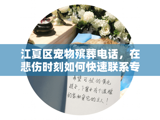 江夏区宠物殡葬电话，在悲伤时刻如何快速联系专业服务？