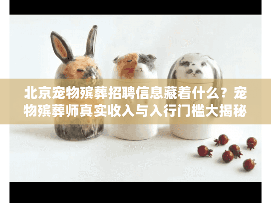 北京宠物殡葬招聘信息藏着什么？宠物殡葬师真实收入与入行门槛大揭秘！