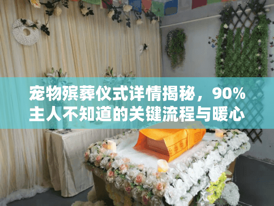 宠物殡葬仪式详情揭秘，90%主人不知道的关键流程与暖心细节你了解吗？