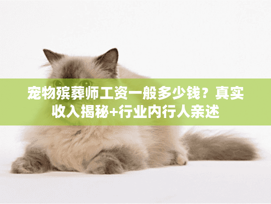 宠物殡葬师工资一般多少钱?真实收入揭秘+行业内行人亲述 宠物殡葬师工资一般多少钱?真实收入揭秘+行业内行人亲述