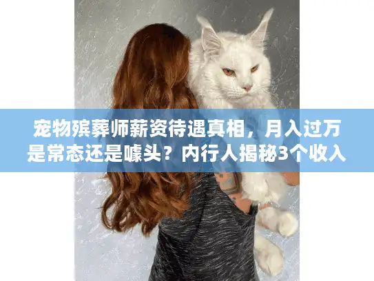 宠物殡葬师薪资待遇真相，月入过万是常态还是噱头？内行人揭秘3个收入关键