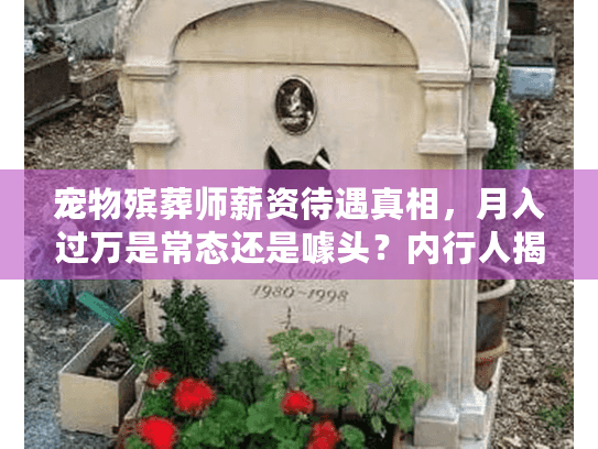 宠物殡葬师薪资待遇真相，月入过万是常态还是噱头？内行人揭秘3个收入关键