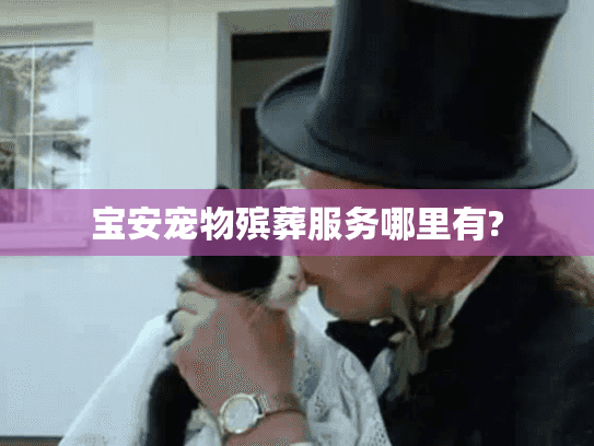 宝安宠物殡葬服务哪里有?