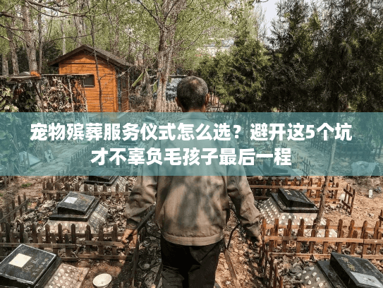 宠物殡葬服务仪式怎么选？避开这5个坑才不辜负毛孩子最后一程