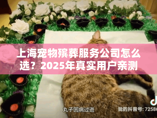 上海宠物殡葬服务公司怎么选?2025年真实用户亲测的3个避坑要点 上海宠物殡葬服务公司怎么选?2025年真实用户亲测的3个避坑要点