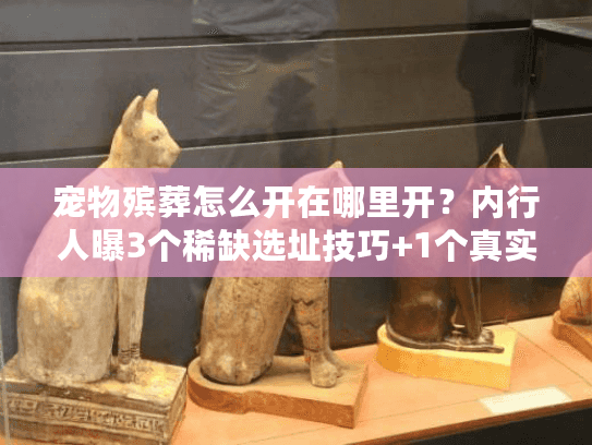 宠物殡葬怎么开在哪里开?内行人曝3个稀缺选址技巧+1个真实落地案例 宠物殡葬怎么开在哪里开?内行人曝3个稀缺选址技巧+1个真实落地案例