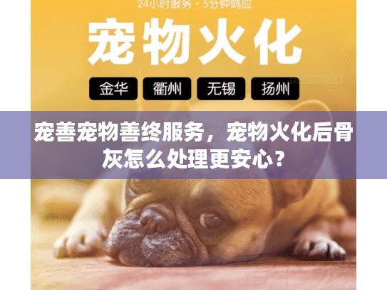 宠善宠物善终服务，宠物火化后骨灰怎么处理更安心？