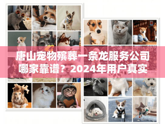 唐山宠物殡葬一条龙服务公司哪家靠谱？2024年用户真实体验+避坑技巧